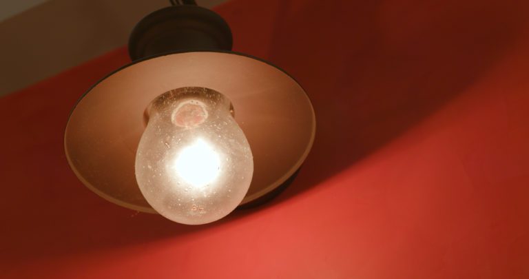 Kakerlaken Licht anlassen