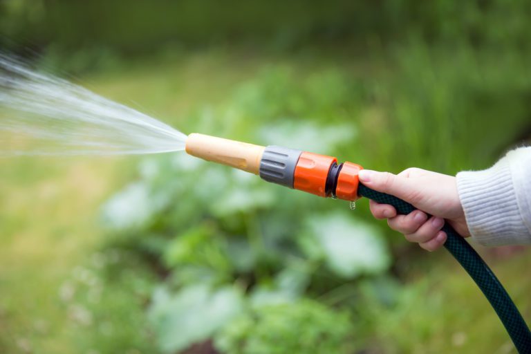 Maulwurfgänge mit Wasser fluten – Einfache Methode zum Vertreiben