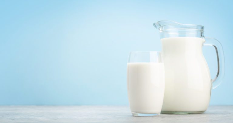 Milch gegen Blattläuse – Wie wirksam ist dieses Hausmittel?