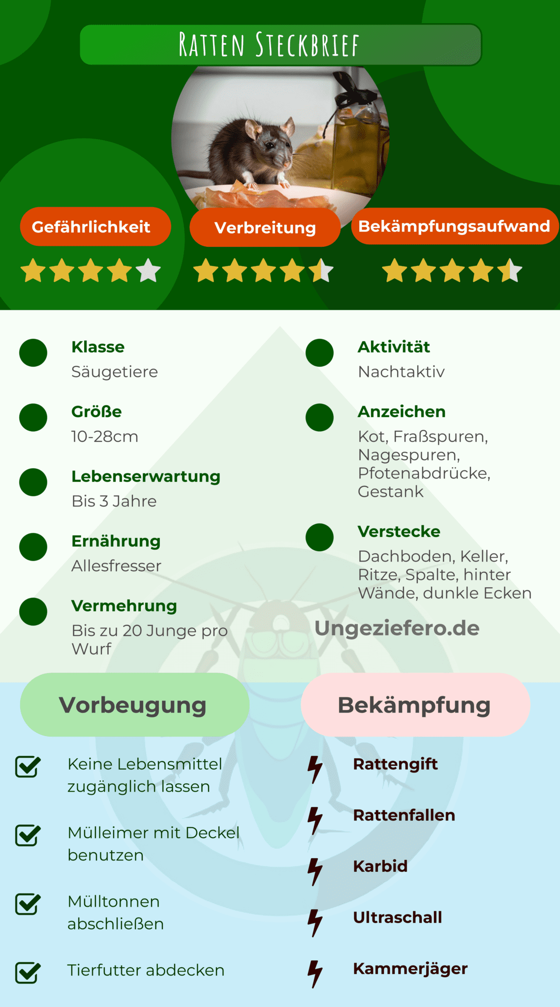 Schnelle Hilfe: Verstehe die Wirkung von Rattengift!