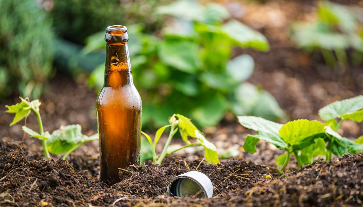 Bierfalle gegen Schnecken