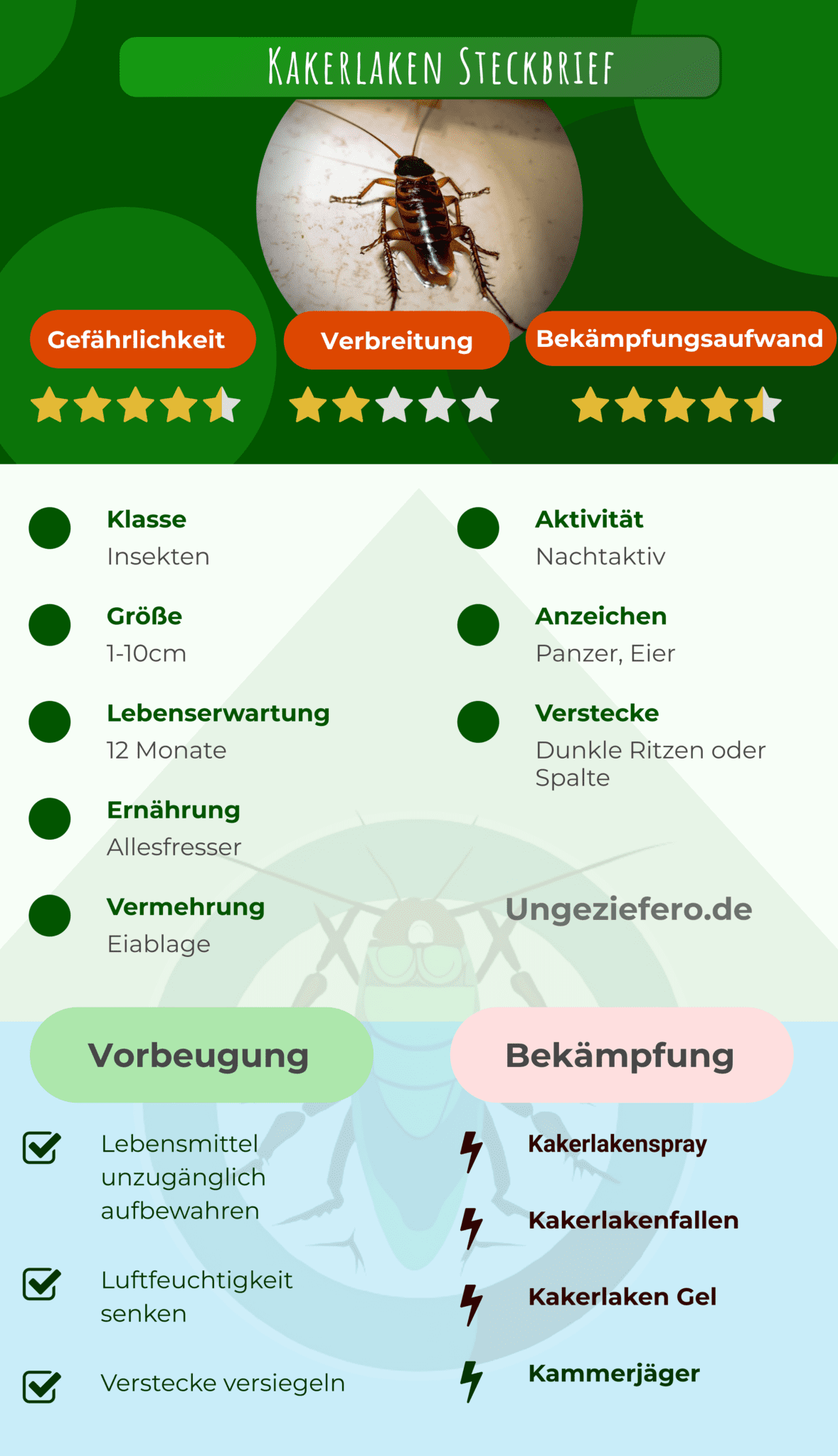 Deine Strategie gegen Kakerlaken