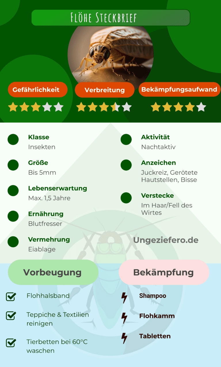 Befreie Dein Zuhause Von Fl hen Tipps Und Ma nahmen befreie-dein-zuhause-von-fl-hen-tipps-und-ma-nahmen