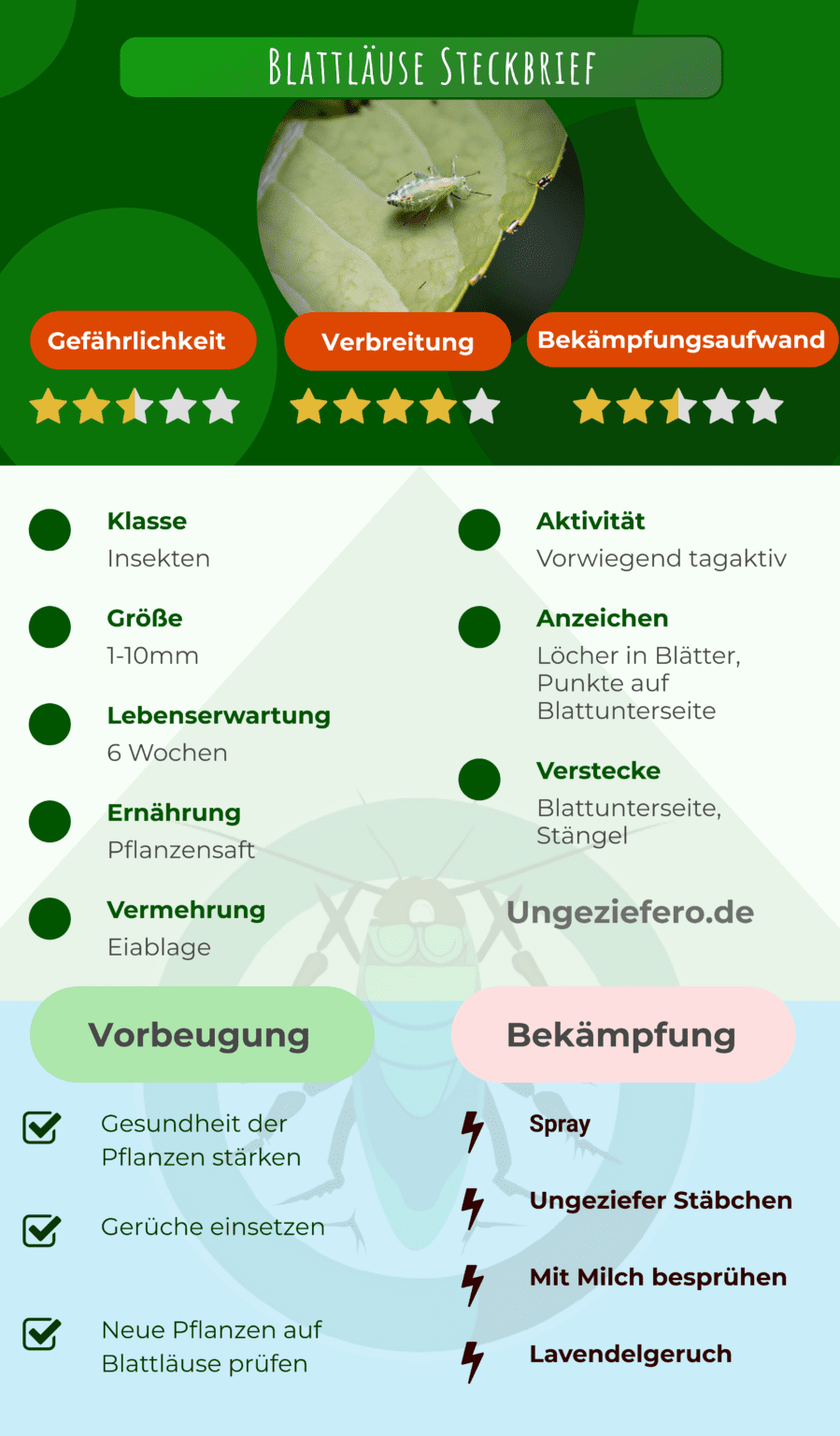 Honig Der Blattlaus Kreuzwortratsel