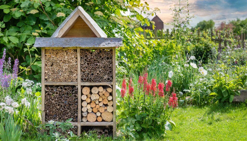 Insektenhotel säubern