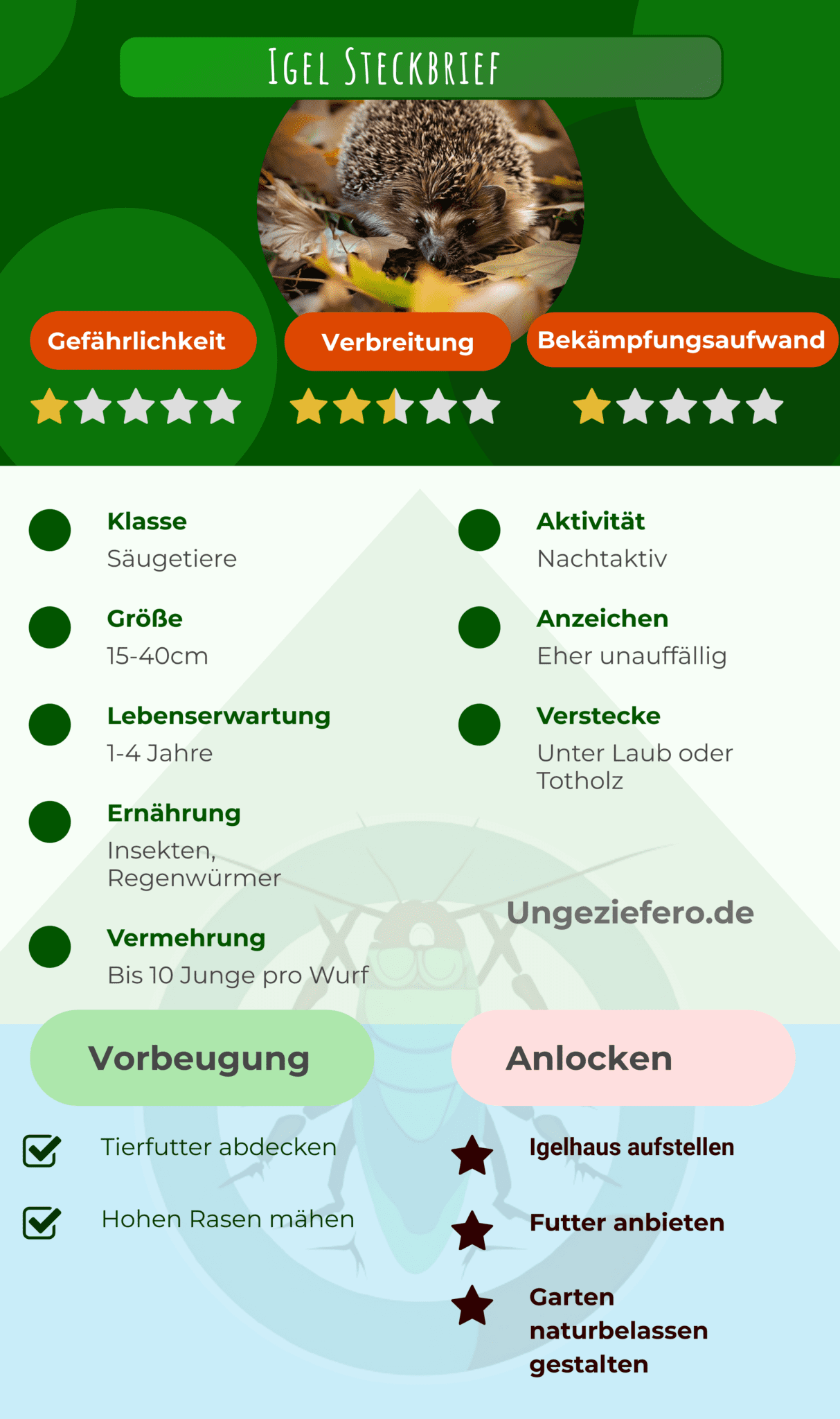 wie viel wiegt ein igel