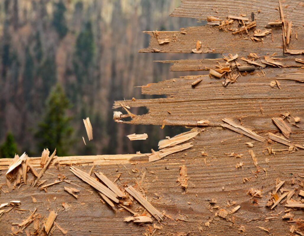 Verletzungsgefahr Holz